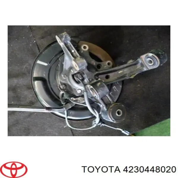 Цапфа - поворотний кулак задній, правий 4230448020 Toyota