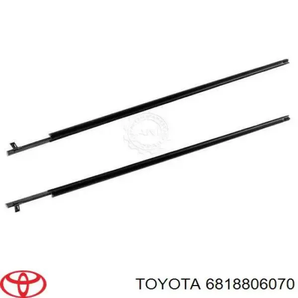 Ущільнювач скла кватирки двері задньої правої 6818806070 Toyota
