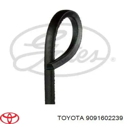 Ремінь генератора 9091602239 Toyota