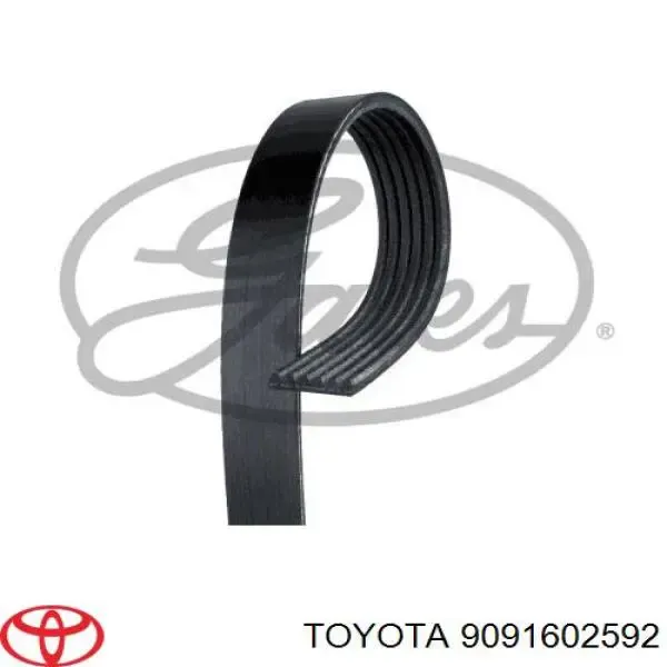 Ремінь генератора 9091602592 Toyota