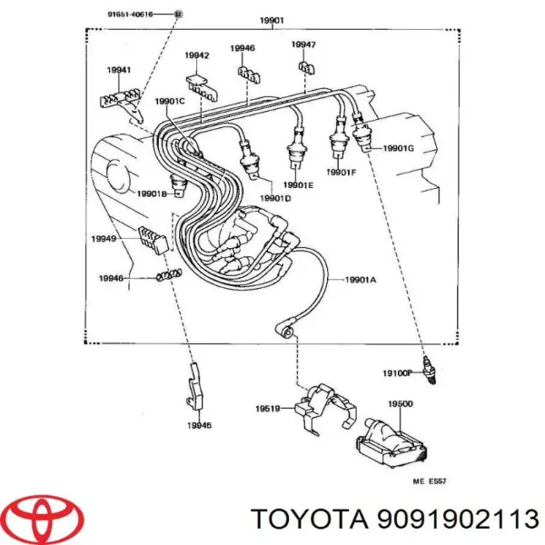  9091902113 Toyota