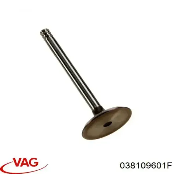 Клапан впускний PAUD088S0N AMP/Paradowscy