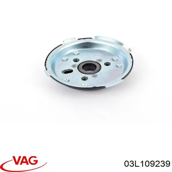  03L109239 VAG