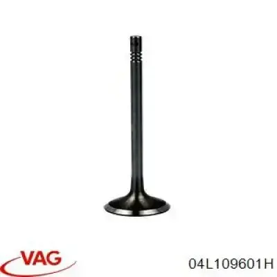 Клапан впускний PVWG151S0N AMP/Paradowscy
