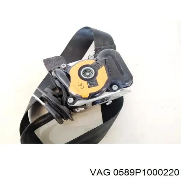  0589P1000220 VAG