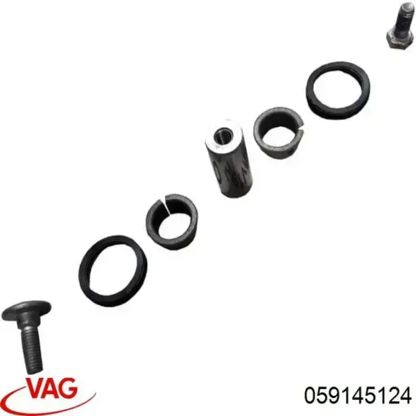 Натягувач приводного ременя 059145124 VAG