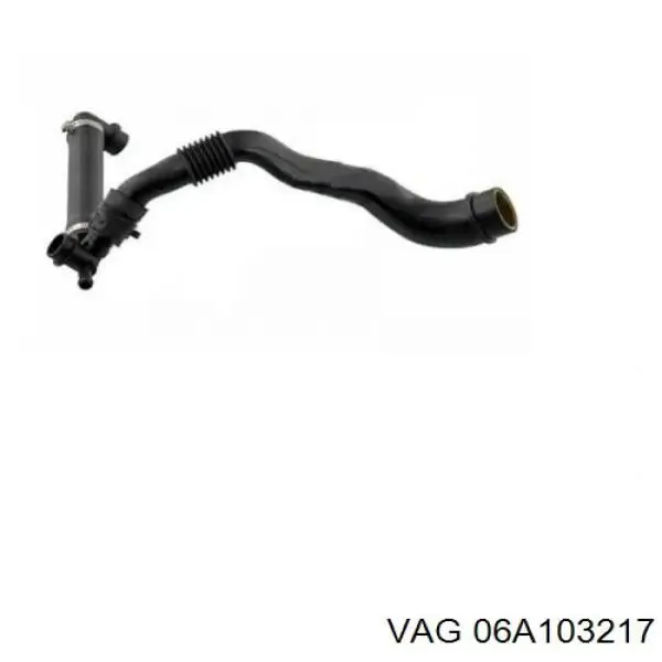  06A103217 VAG