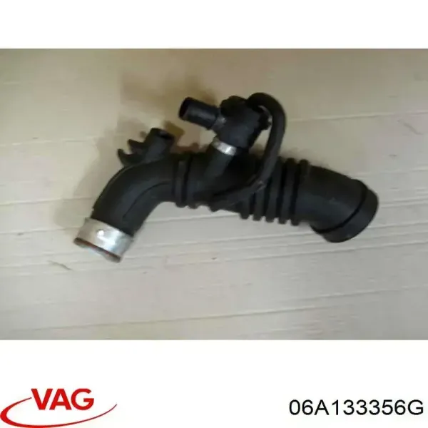  06A133356G VAG
