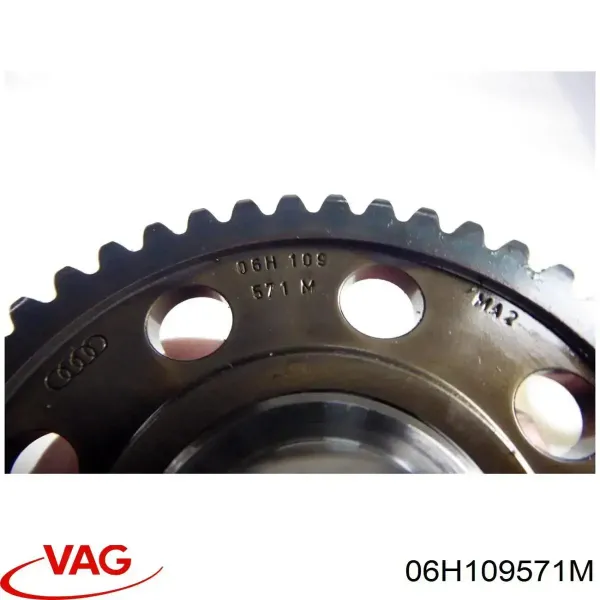  06H109571M VAG