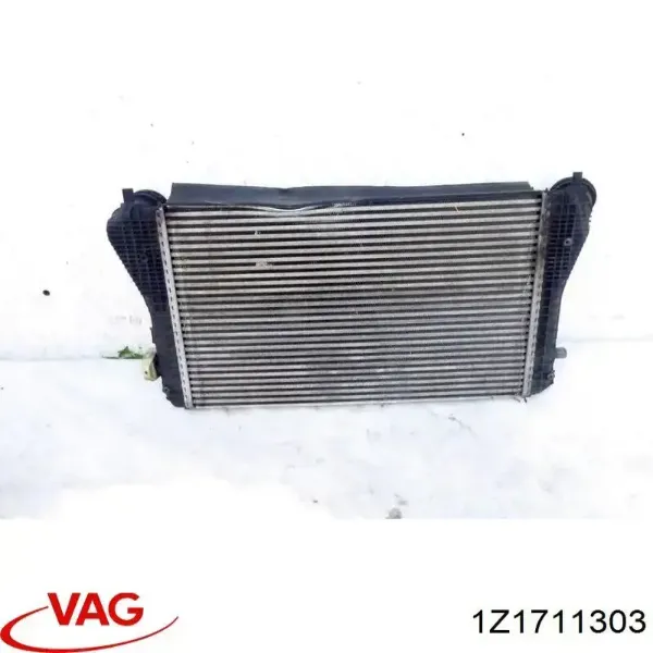  1Z1711303 VAG