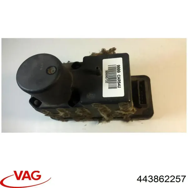  443862257 VAG