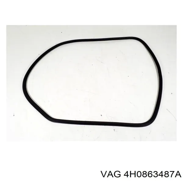  4H0863487A VAG
