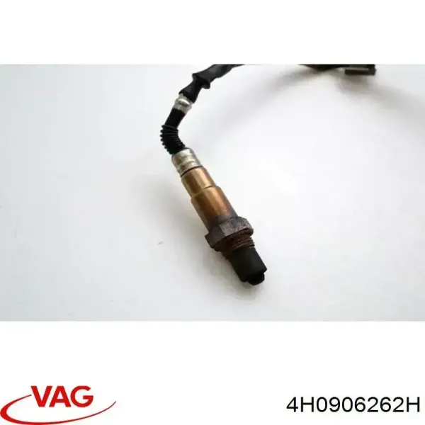  4H0906262H VAG