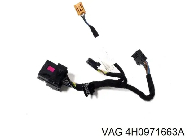  4H0971663A VAG