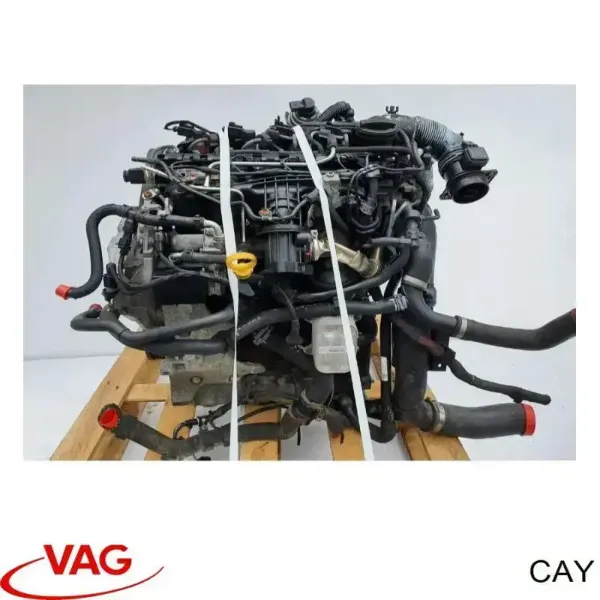 Двигун CAY VAG
