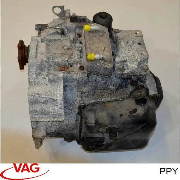  PPY VAG