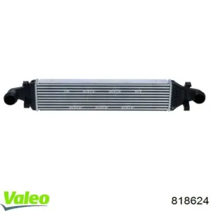 352020 KALE