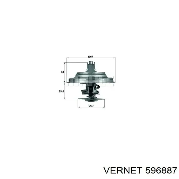 Термостат 596887 Vernet