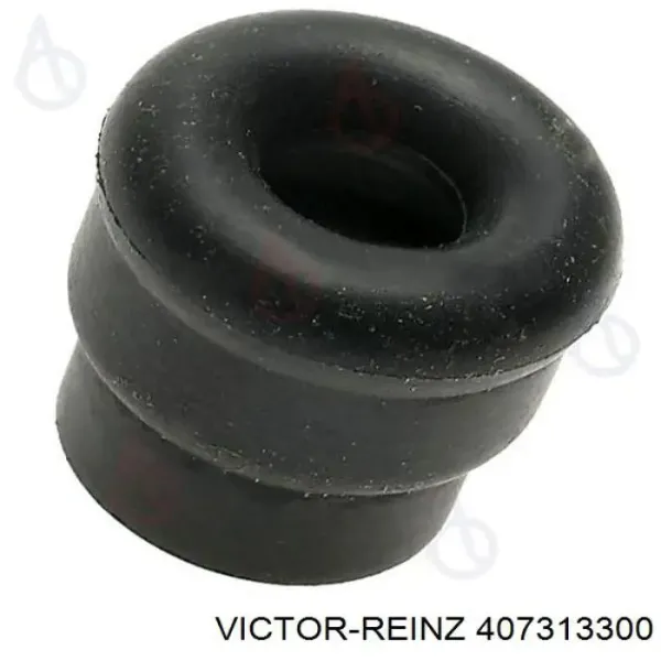 Кільце форсунки 407313300 Victor Reinz