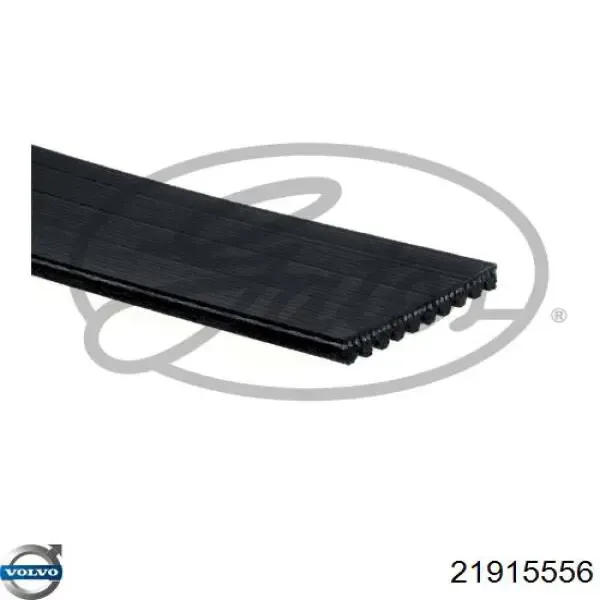 Ремінь генератора 21915556 Volvo