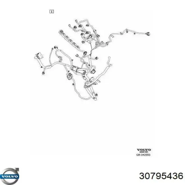 30795436 Volvo