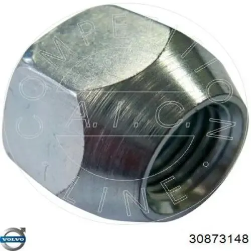 Купити 30873148 Volvo Колісні гайки