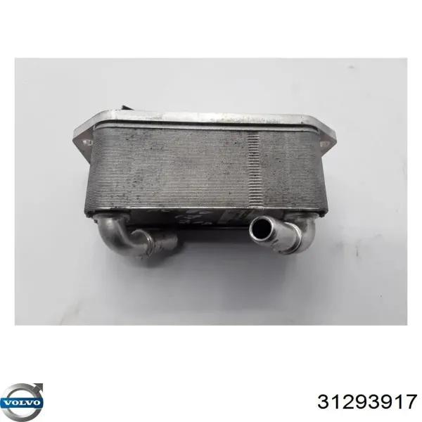  31293917 Volvo
