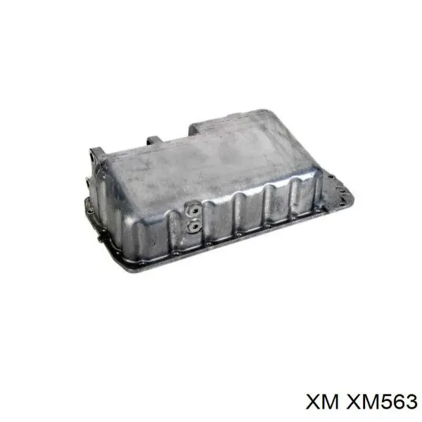 Ролик натягувача ременя ГРМ XM563 XM