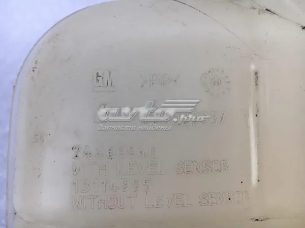 Бачок системи охолодження 24469940 General Motors