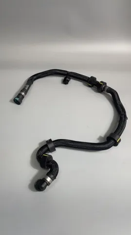  J9C6043 Jaguar