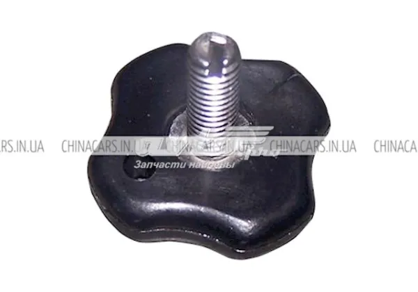  T11BJ5709141 Chery