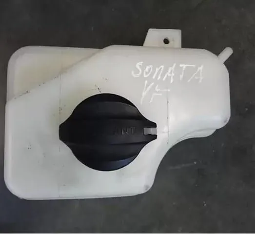  254313S000 Hyundai/Kia