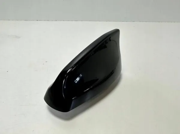  T4K14207 Jaguar