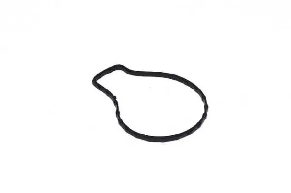  Прокладка водяної помпи Toyota RAV4 4