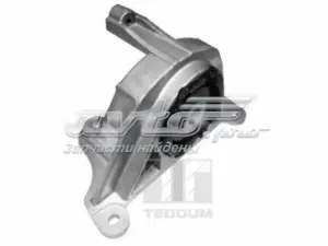 215780 TED-GUM