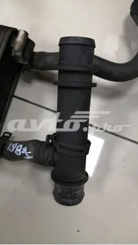  XR841813 Jaguar