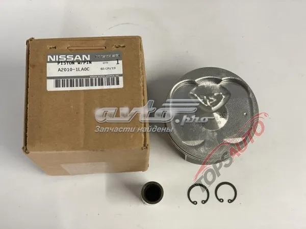  A20101LA0C Nissan/Infiniti