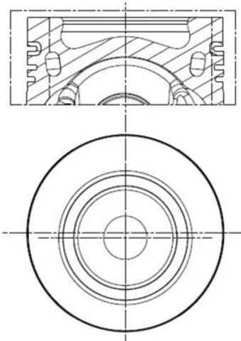  028PI00141002 Mahle Original