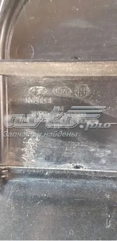  Захист двигуна Hyundai Santa Fe 3