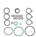 Ремкомплект ПНВТ BOSCH F00R0P0743