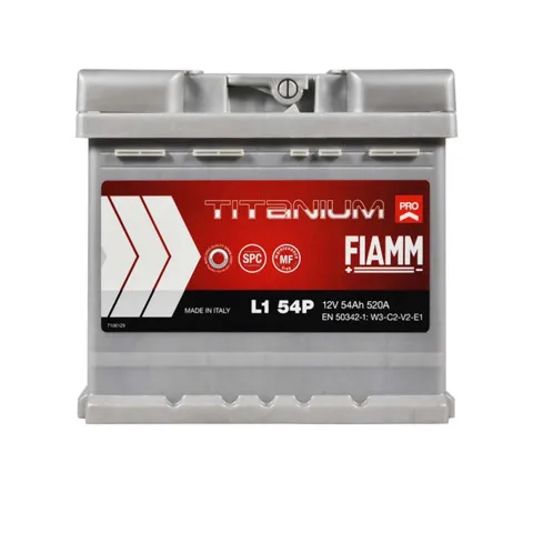  7905145 Fiamm