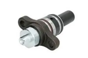 Плунжерная пара 2469403181 Bosch