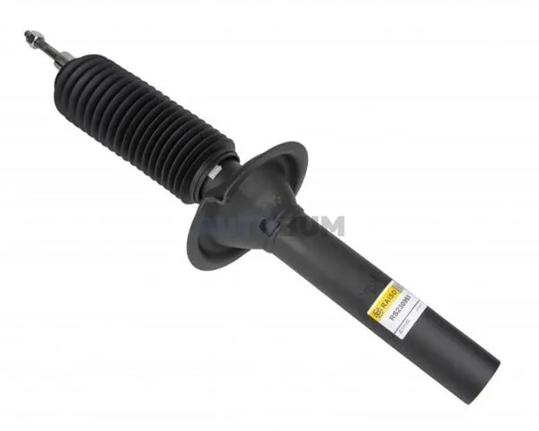 Амортизатор передній RS230965 Raiso
