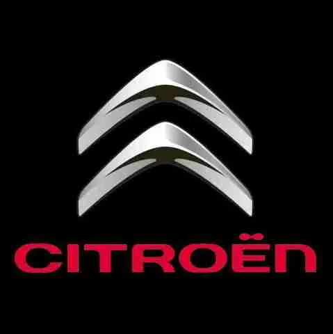  8390149 Peugeot/Citroen