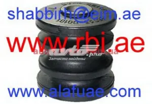N25260 RBI