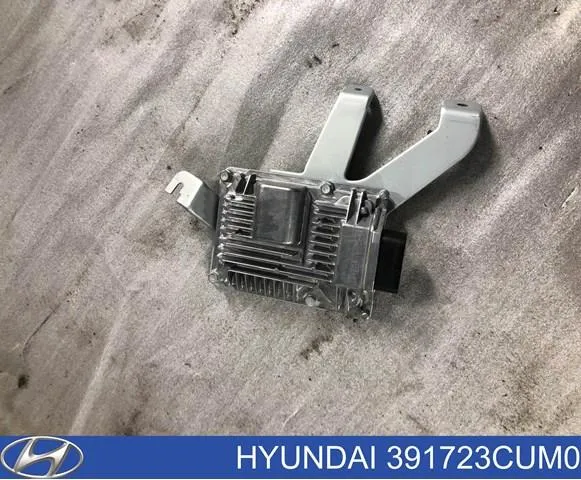  391723CUM0 Hyundai/Kia
