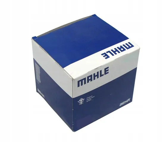  043PI00114000 Mahle Original