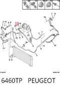 Сальник компресора кондиціонера PEUGEOT 00006460TP