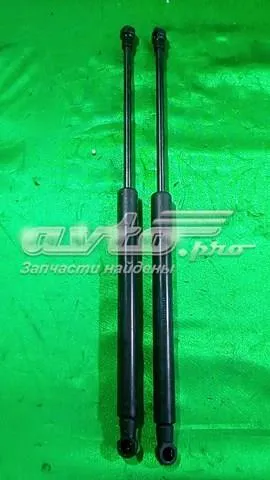 Амортизатор багажника 3T582755201S VAG