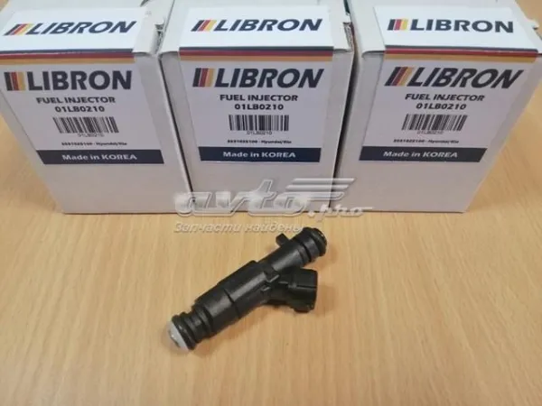 Паливні форсунки 01LB0210 Libron